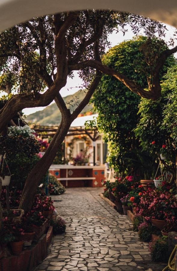 Hotel Villa Maria Sant'Angelo  Zewnętrze zdjęcie