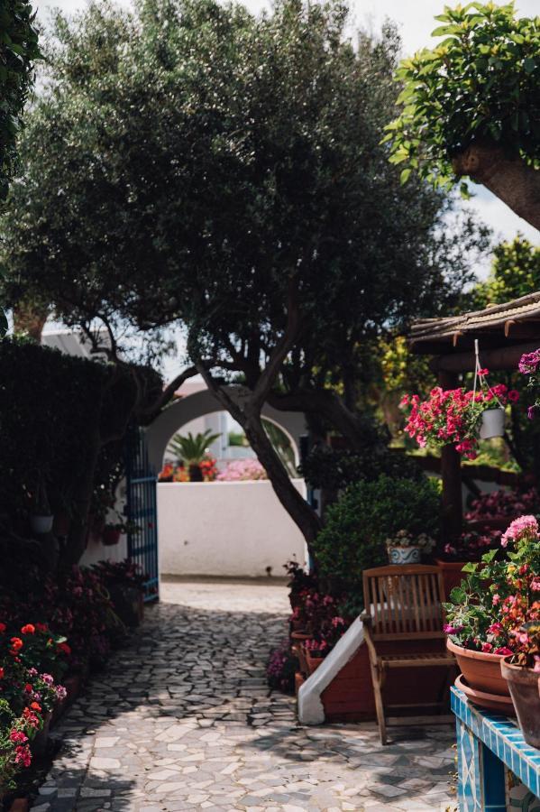 Hotel Villa Maria Sant'Angelo  Zewnętrze zdjęcie