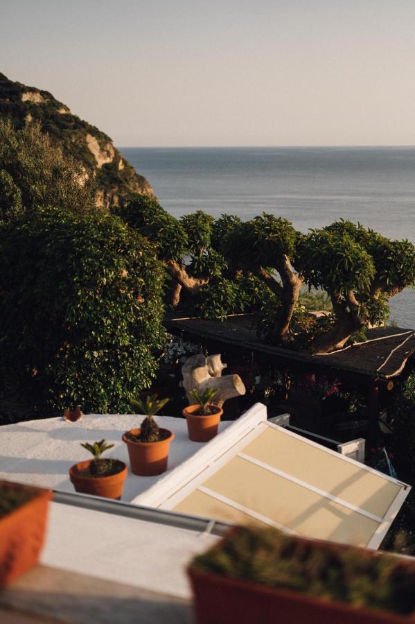 Hotel Villa Maria Sant'Angelo  Zewnętrze zdjęcie